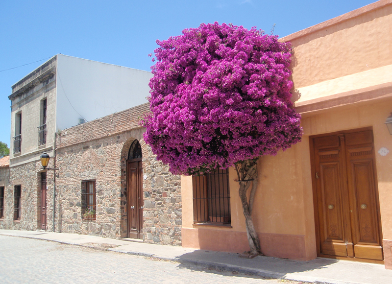 Colonia - Fin de semana con visita a Bodega