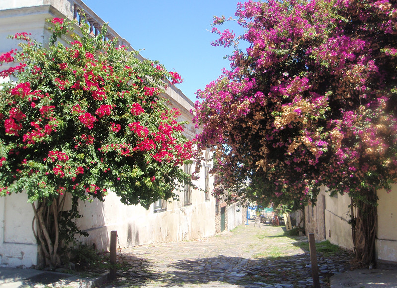 Colonia - Paseo por el dia